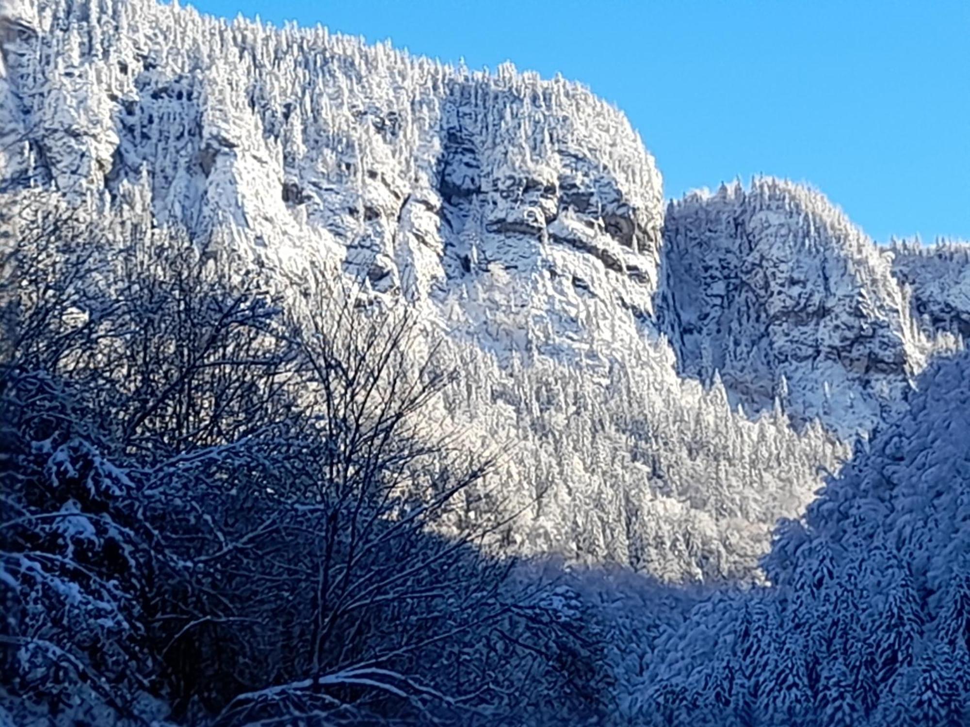 Apartmán Le Bouquetin Entremont Exteriér fotografie
